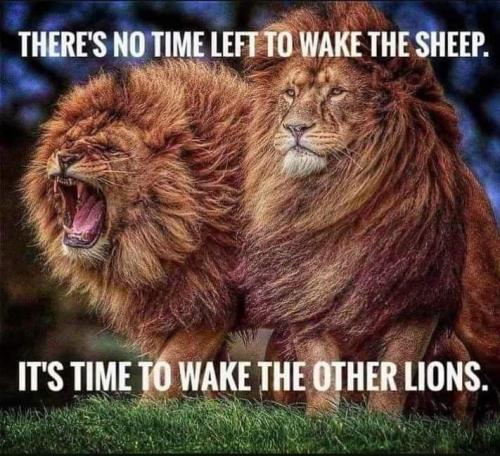 c8a0632c8a0b86208eb73bb024cce2c9