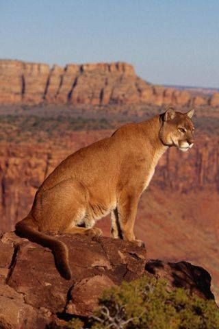 09:19:02 GMT-0500 (CDT)