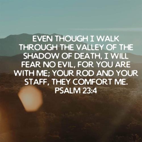 FB_IMG_1636664616046