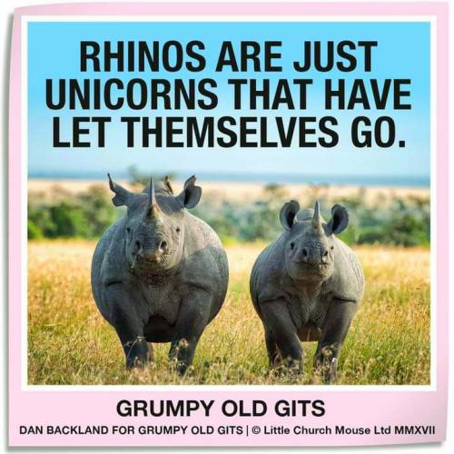 FB_IMG_1637725875672