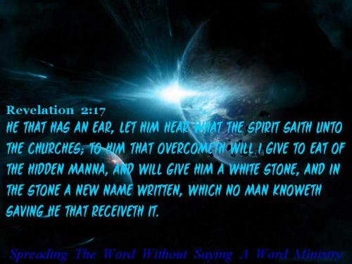 395156_394120107336793_1479487526_n