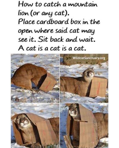 FB_IMG_1637728555937