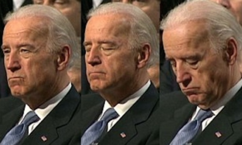 bidensleep