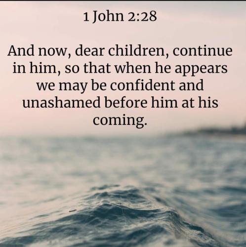 Screenshot_20211128-122850_Bible