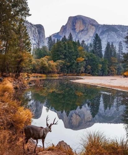 253892554_2125754947589336_806038029240840455_n