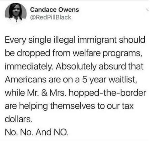 candace owens22