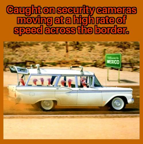 Comedy - Turkeys Crossing Border