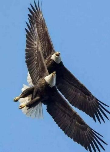 tumblr_c721f6db4f4d2aa4e43a9099da3171be_8234fbd2_540