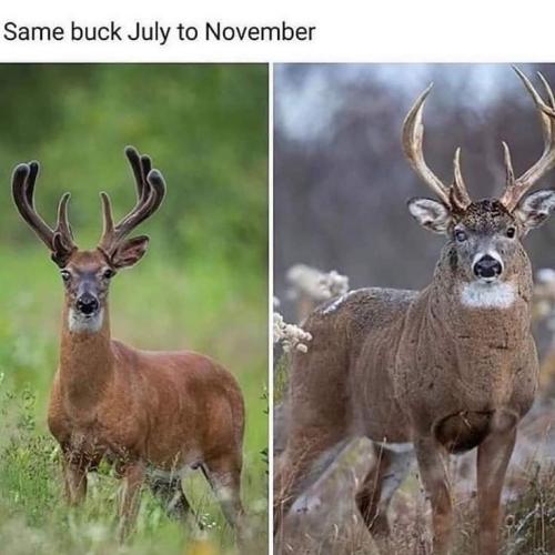 258872451_437436384420555_1792327557122143367_n