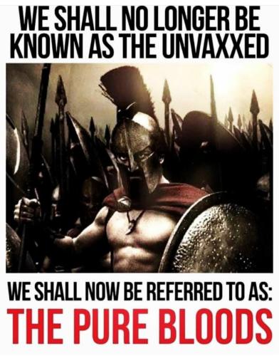 09:04:18 GMT-0600 (CST)