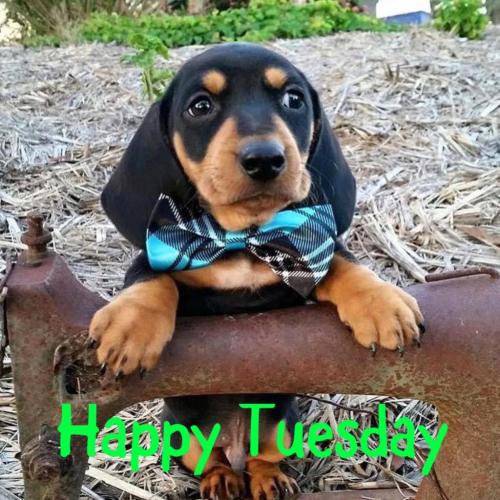 255161932_4471696382909664_6823271399224581705_n