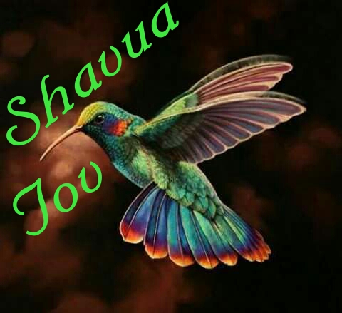 22:37:32 GMT-0900 (AKST)