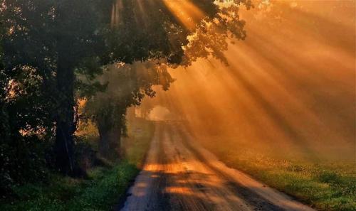 B2E9C524-2FF0-4529-A129-348EE9A3EA48