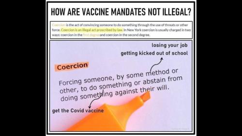 Screenshot_20211106-181034_Telegram