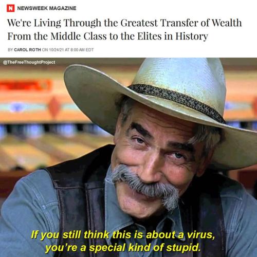 256241588_2664450410528823_3737582405069509042_n