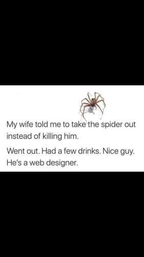 spider f