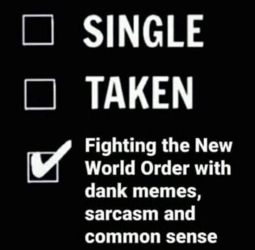fighting the nwo with dank memes