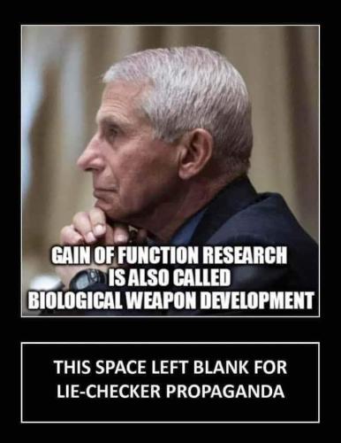 FB_IMG_1636820124473