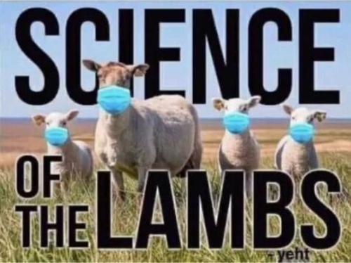 23:51:48 GMT-0600 (CST)