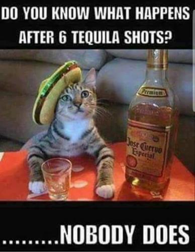 FB_IMG_1637422162737