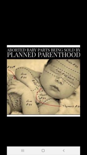 Screenshot_20211122-221413_Wimkin Uncensored