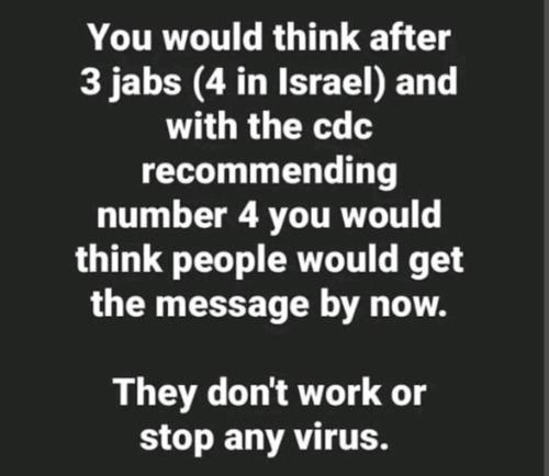 955d2d2c7593c153c371f8_446c7f96_1280