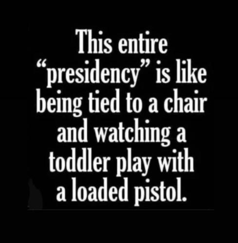 President toddler
