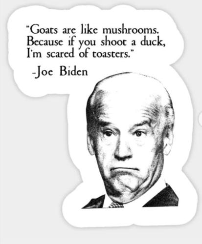 Screenshot_20211117-073148_DuckDuckGo