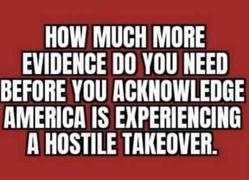 image_1636933406.157