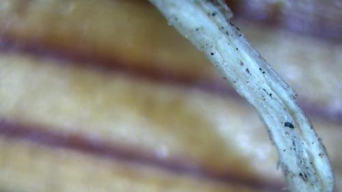 Major Fullerene Polymer Fiber Rod