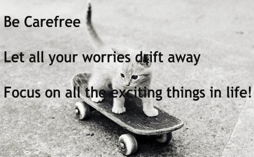 bdd09cc6fe543ee597dc80f3348eee7e