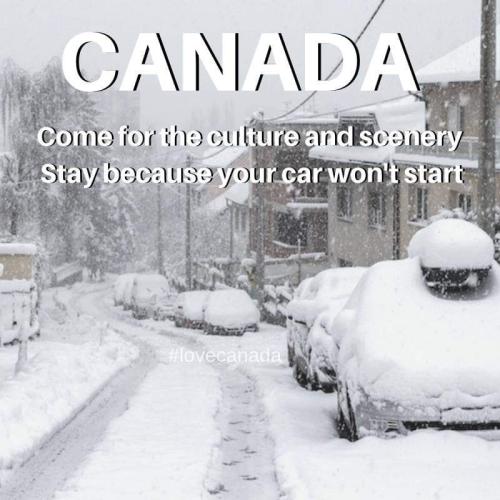 FB_IMG_1636479928273