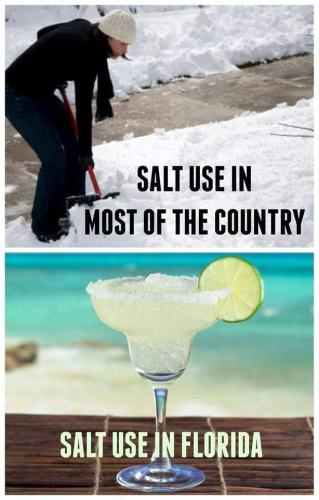 FB_IMG_1637836447164