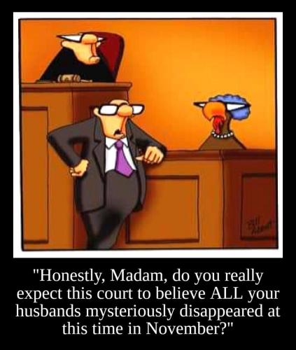 Cartoon - Madam Turkey Trial November