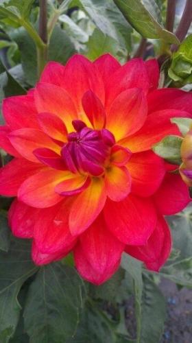 09:52:24 GMT-0600 (CST)