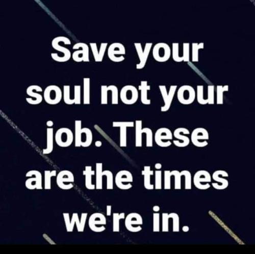 FB_IMG_1637534345435