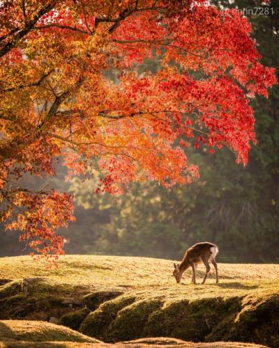 250855665_905180787038837_3272037778727422441_n