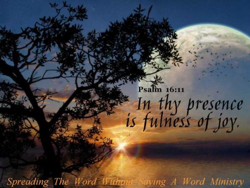 533944_394932330588904_582262436_n