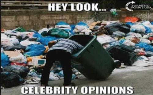 celebrity_opinion_2