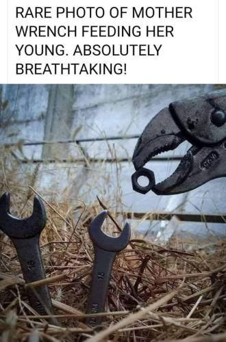 256259222_6571203899586516_4873737585505125855_n