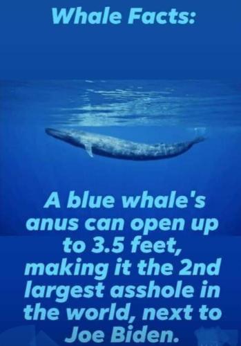 11:47:09 GMT-0700 (MST)