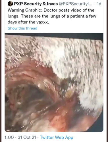 Screenshot_20211104-212208