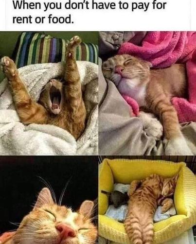 FB_IMG_1637603549292