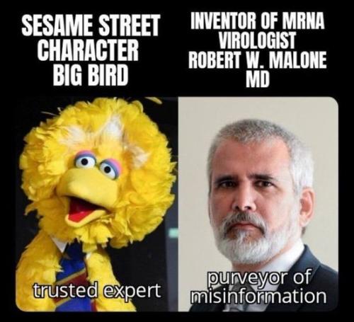 big bird vs malone