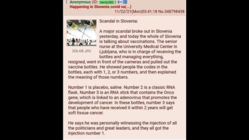 Screenshot_20211126-175003_Telegram