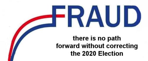voterfraud241