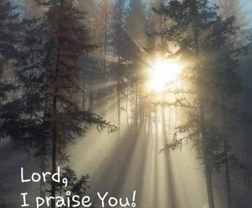 02:39:02 GMT-0800 (PST)