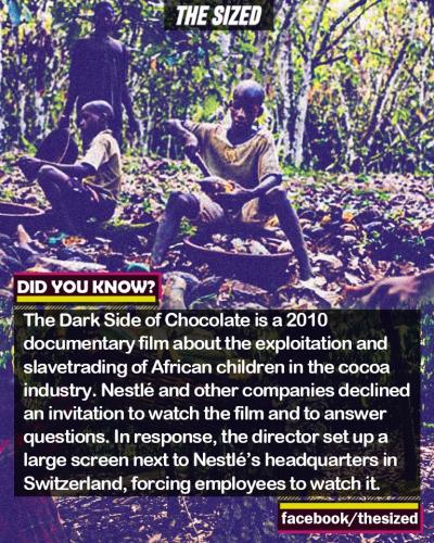 254734312_418502336382756_5059338257803986091_n