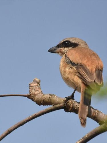 256377550_4680891688620598_2694040735333865109_n