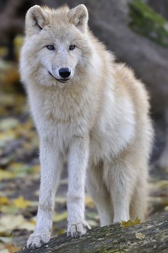 9a4740facd2bcfe0d06710c7a6c36d4a